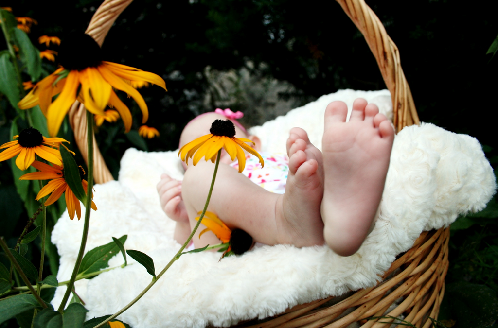 offering baby photoshoot packages in patiala – chandigarh